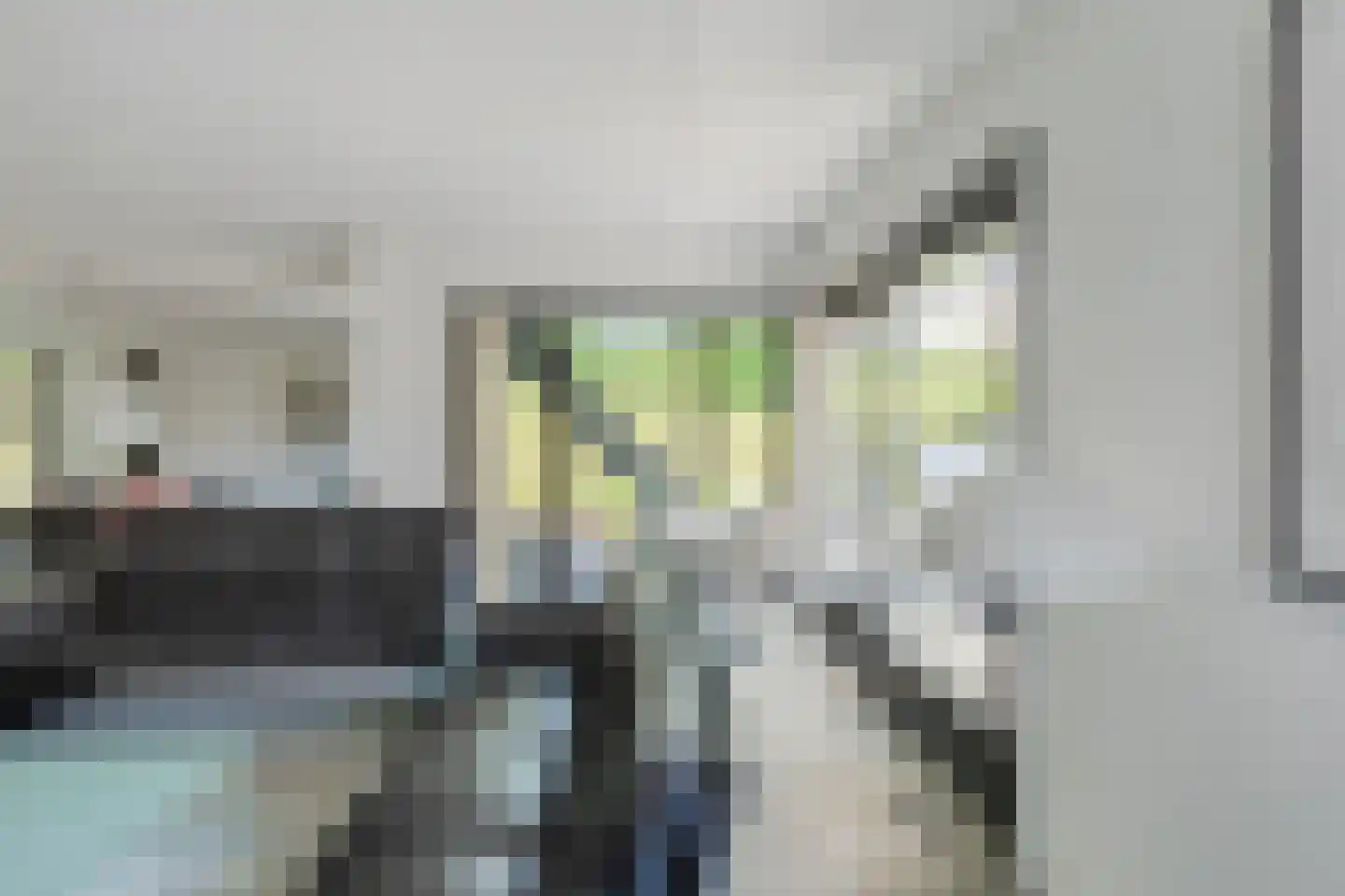 Dierick Boutsstraat 12 Axel thumbnail 9