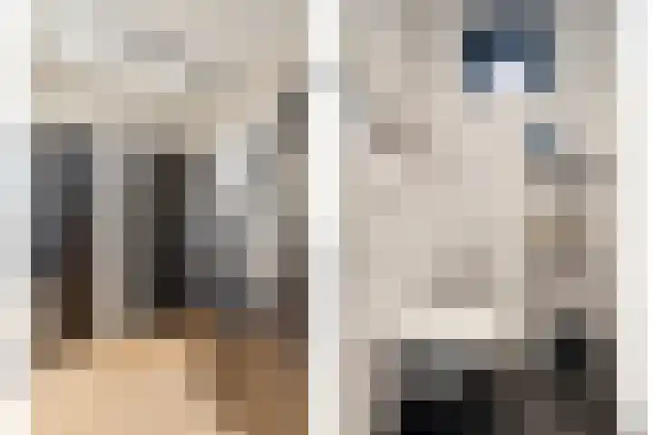 Dierick Boutsstraat 8 Axel thumbnail 12