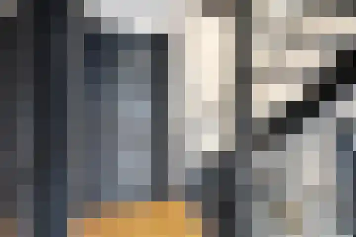Dierick Boutsstraat 8 Axel thumbnail 14