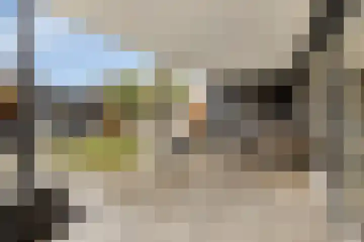 Dierick Boutsstraat 8 Axel thumbnail 23
