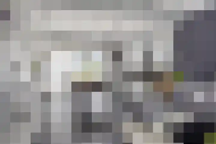 Dierikweg 4 Oudelande thumbnail 12