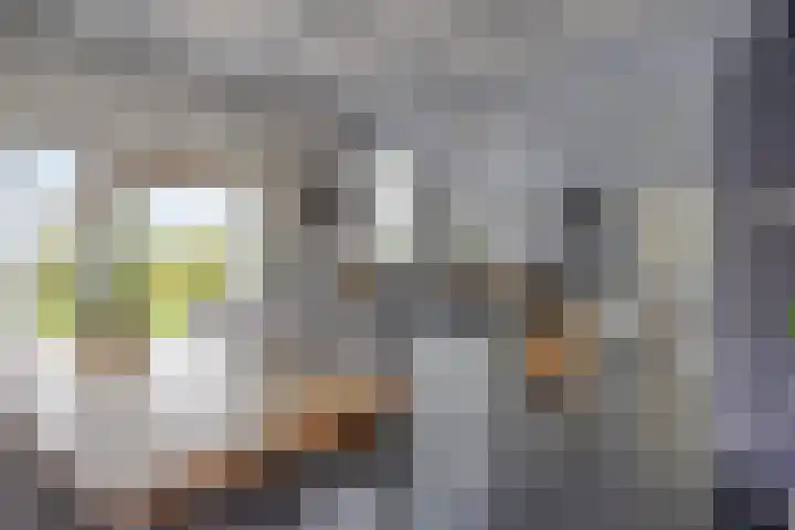 Dierikweg 4 Oudelande thumbnail 13
