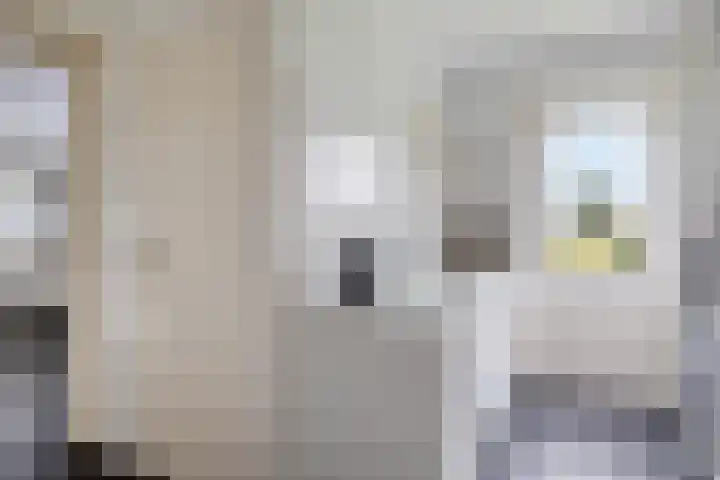 Dierikweg 4 Oudelande thumbnail 19