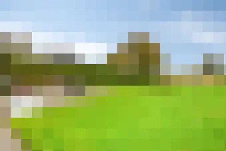 Dierikweg 4 Oudelande thumbnail 32