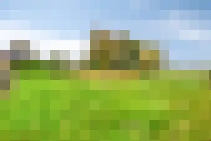 Dierikweg 4 Oudelande thumbnail 34