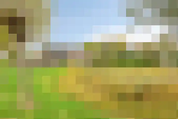 Dierikweg 4 Oudelande thumbnail 35