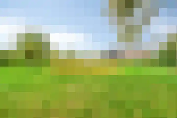 Dierikweg 4 Oudelande thumbnail 36