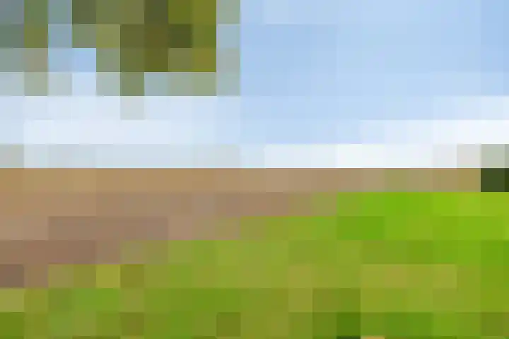 Dierikweg 4 Oudelande thumbnail 37