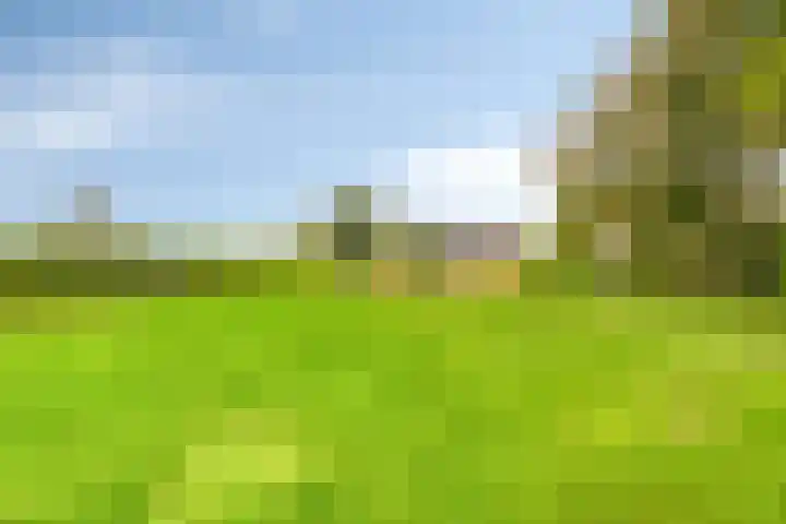 Dierikweg 4 Oudelande thumbnail 38