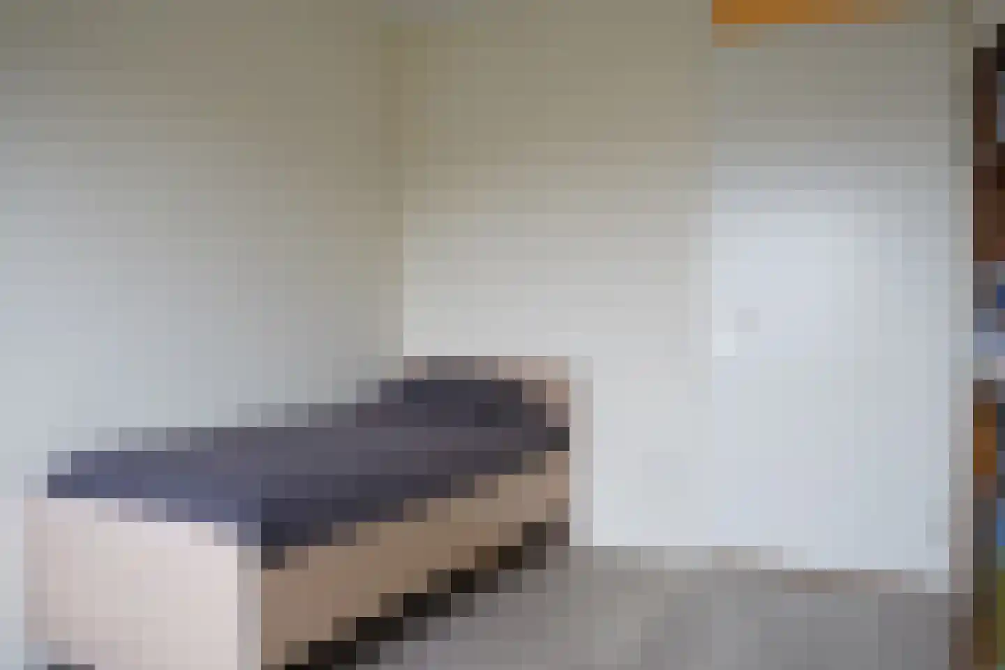 Dierkensteenweg 3 001 Oostburg thumbnail 17