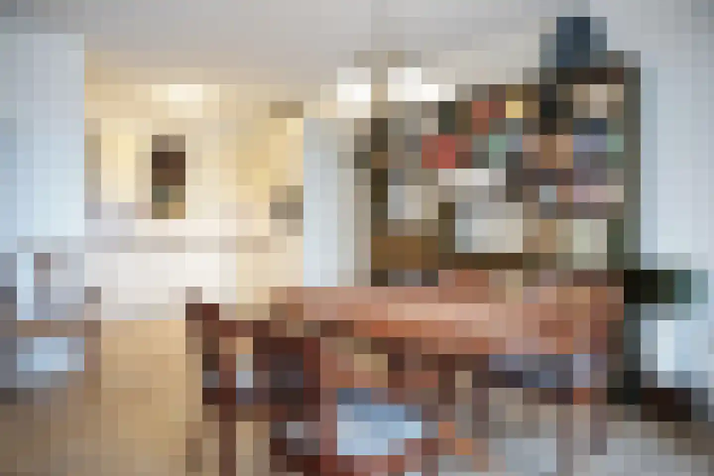 Dierkensteenweg 3 115 Oostburg thumbnail 12