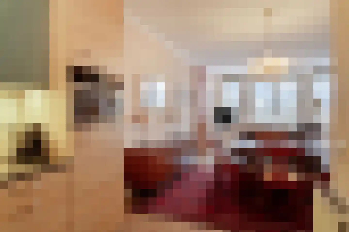 Dierkensteenweg 3 115 Oostburg thumbnail 15