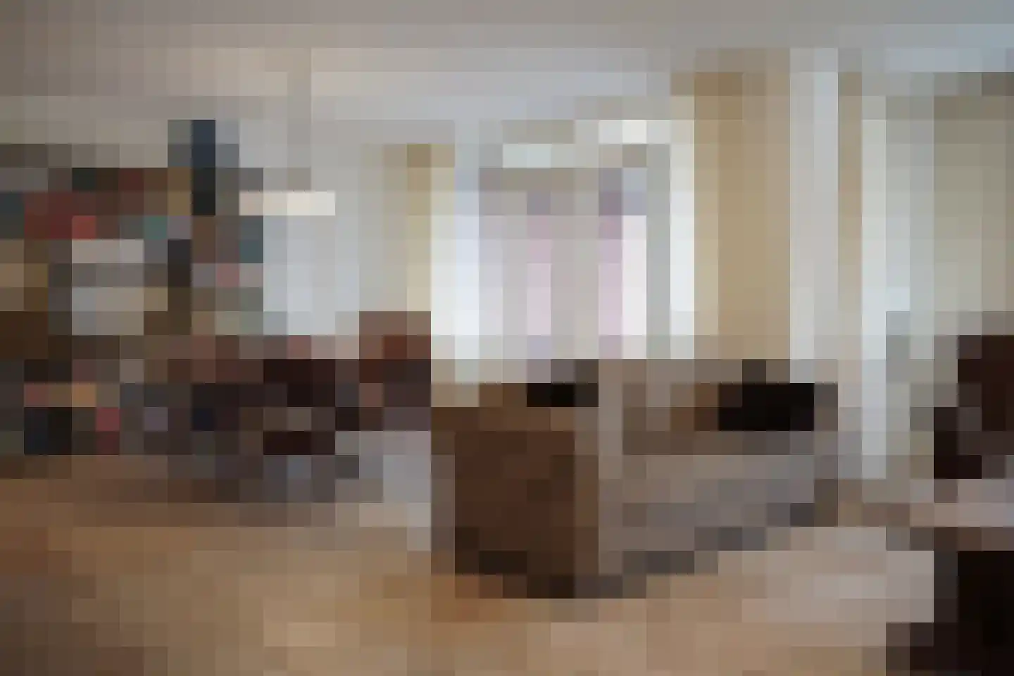 Dierkensteenweg 3 115 Oostburg thumbnail 4