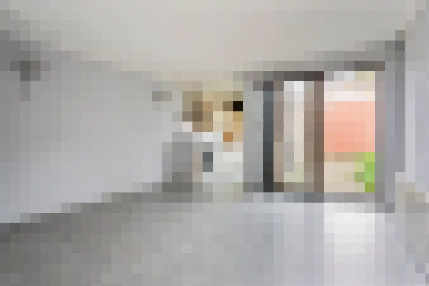 Dierluststraat 14 Beverwijk thumbnail 11