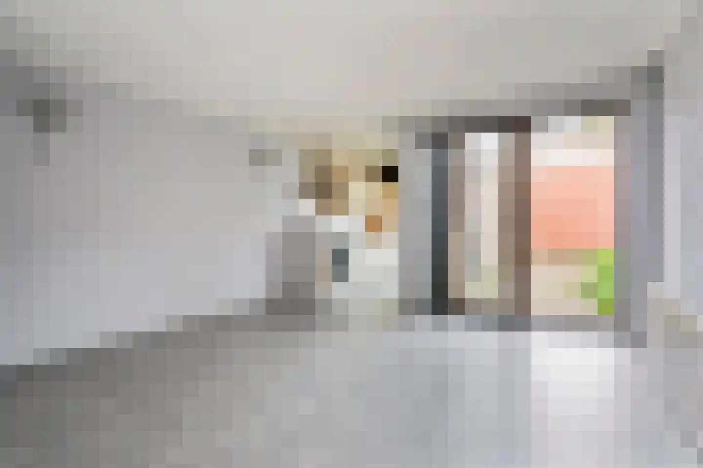Dierluststraat 14 Beverwijk thumbnail 12