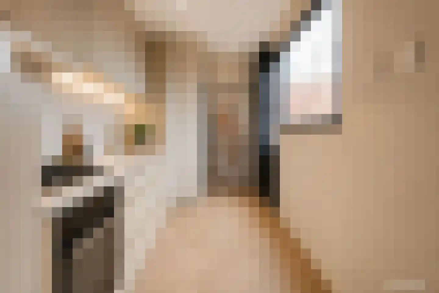 Dierluststraat 14 Beverwijk thumbnail 35