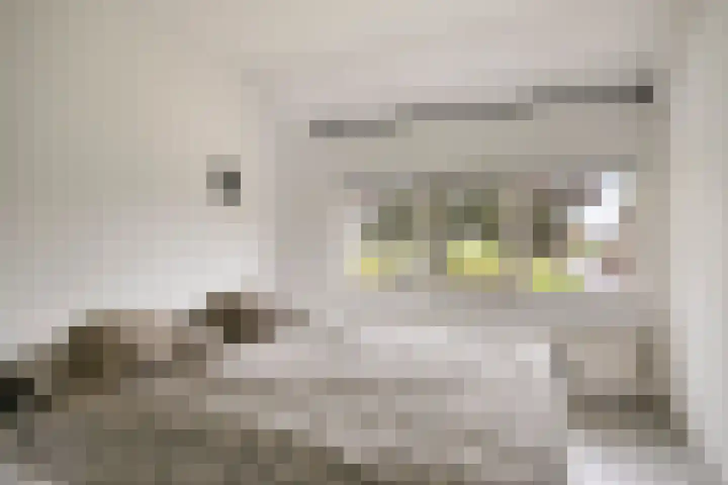 Diesdonkerweg 14 Ommel thumbnail 19