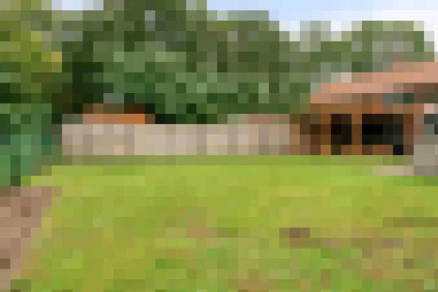 Diesdonkerweg 14 Ommel thumbnail 29