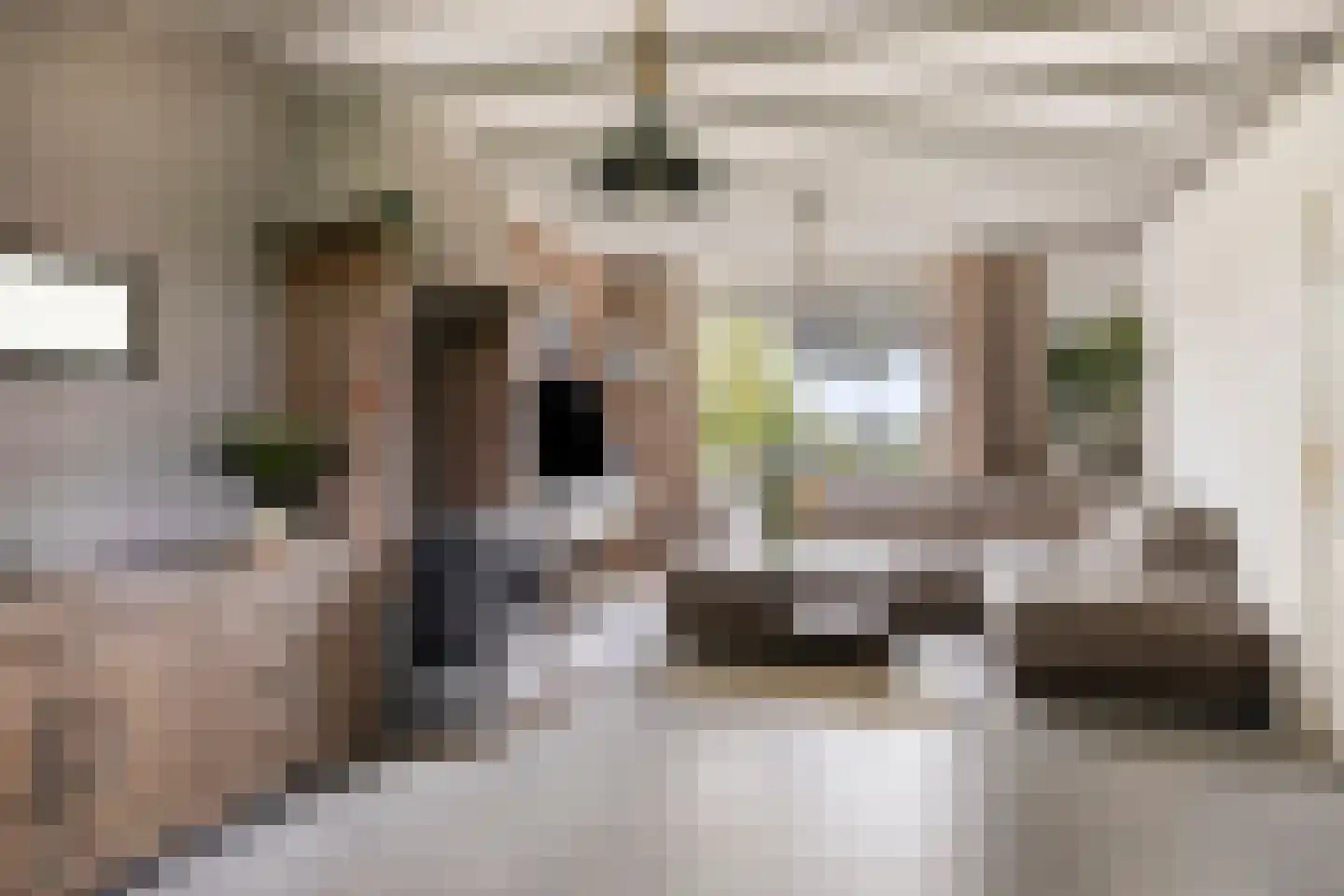 Diesdonkerweg 14 Ommel thumbnail 6