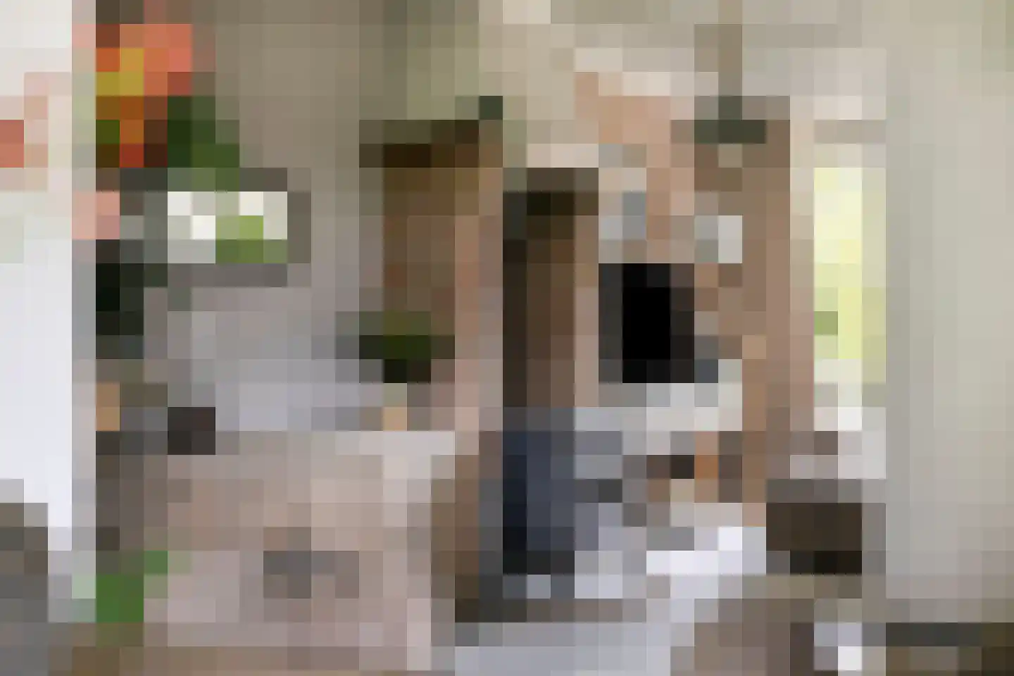 Diesdonkerweg 14 Ommel thumbnail 7