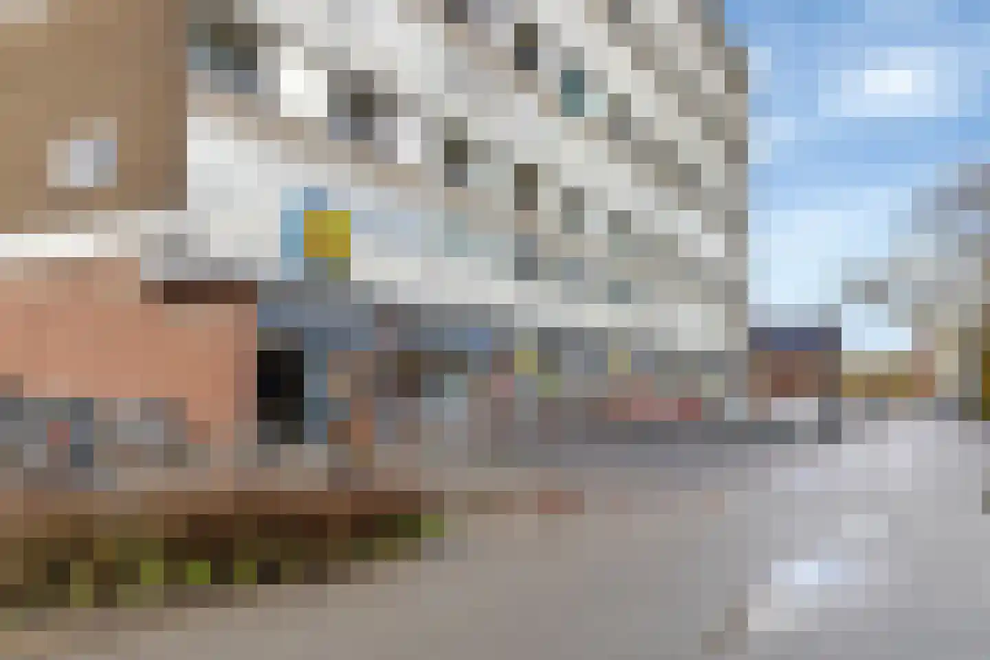 Dieselstraat 48 Schiedam thumbnail 37