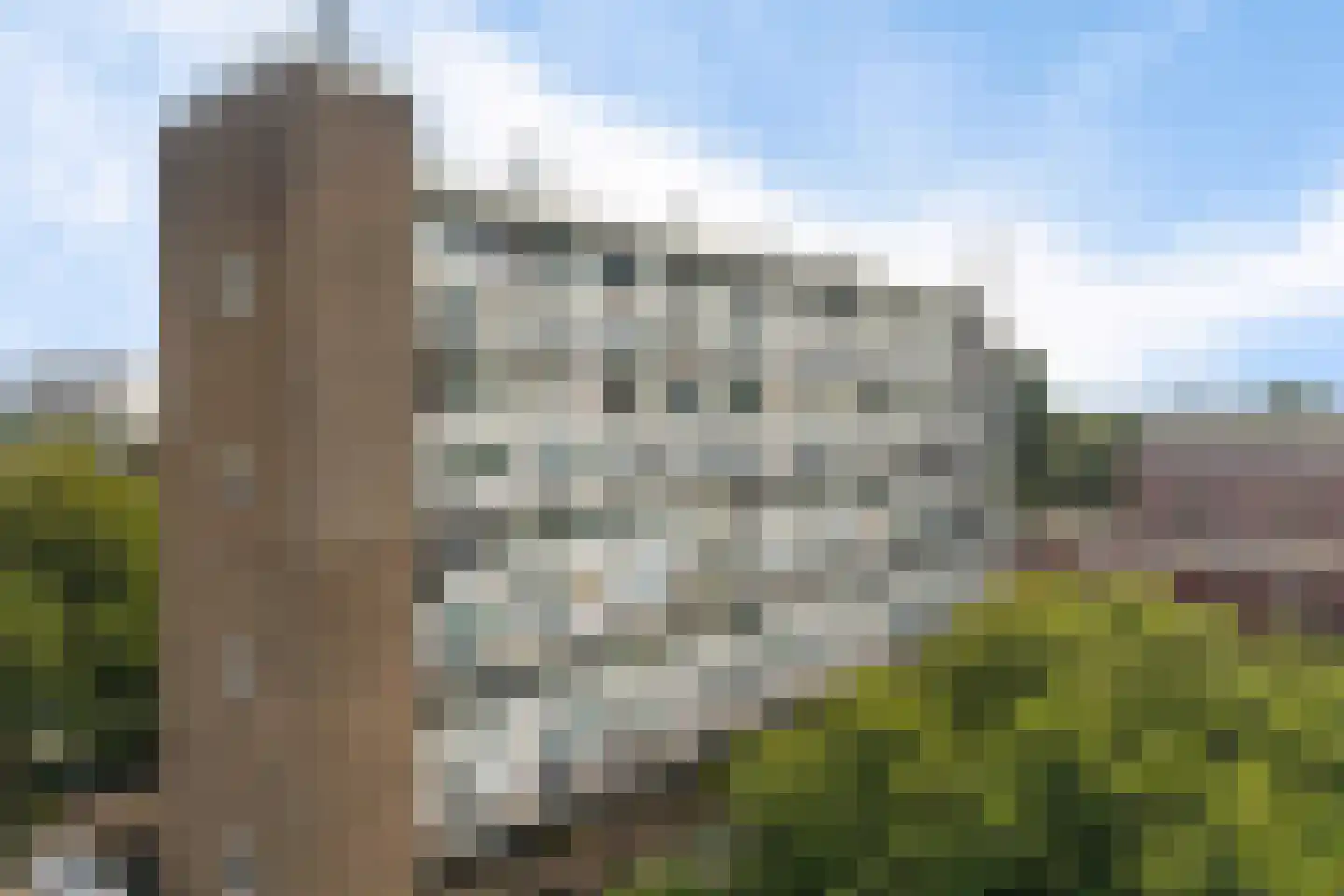 Dieselstraat 74 Schiedam thumbnail 47