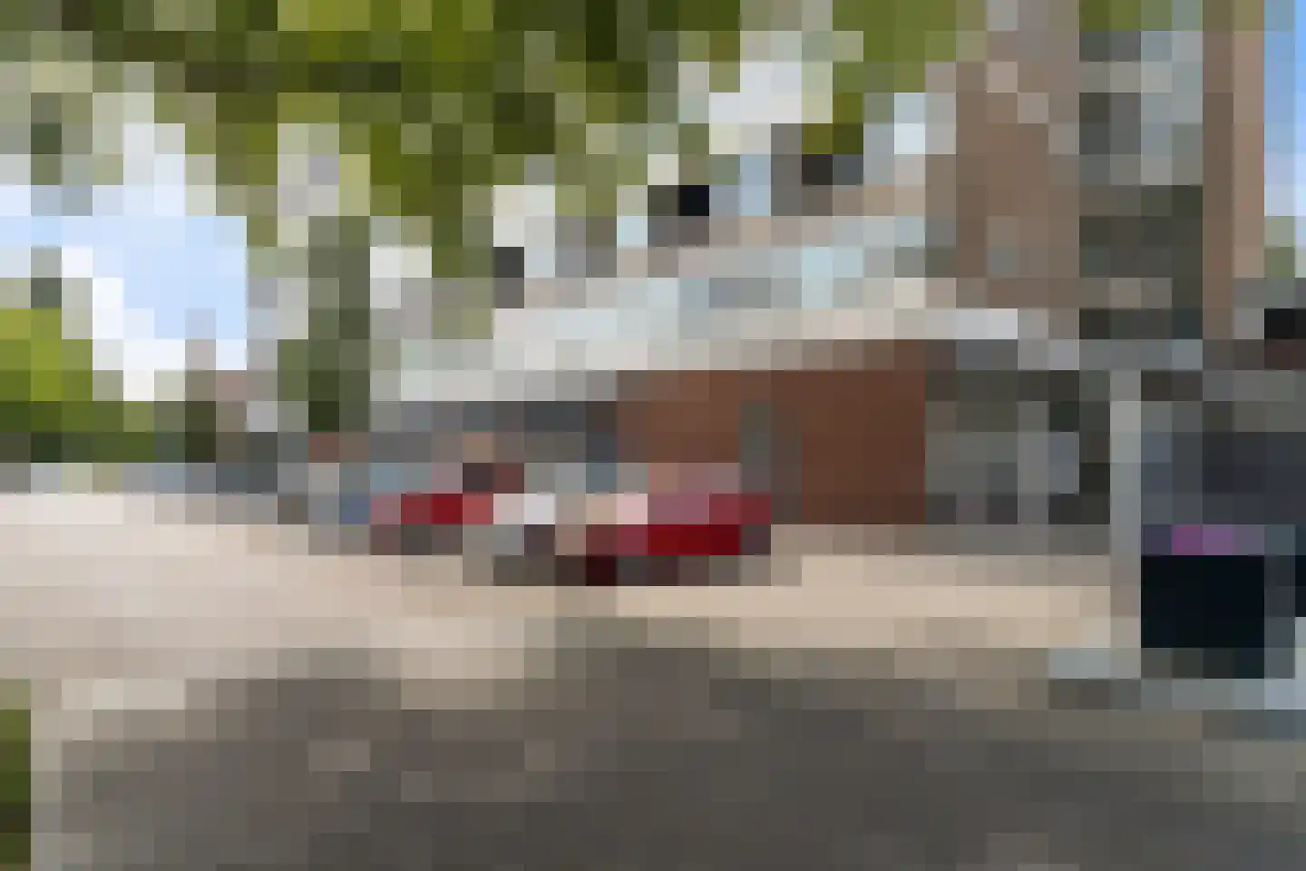 Dieselstraat 74 Schiedam thumbnail 48