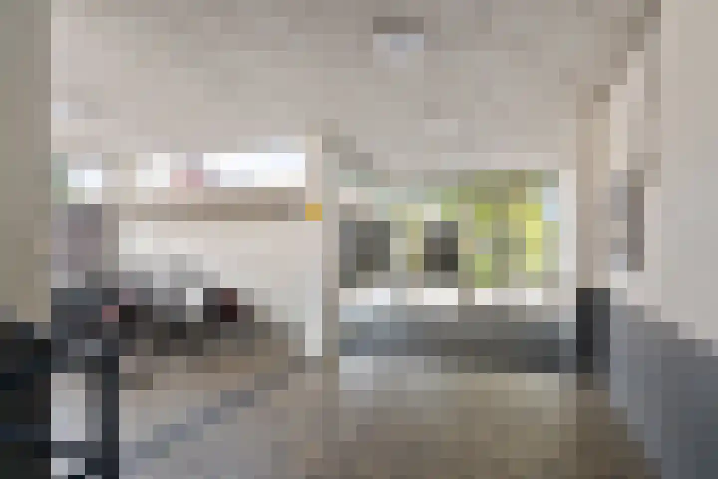 Dieselstraat 74 Schiedam thumbnail 51