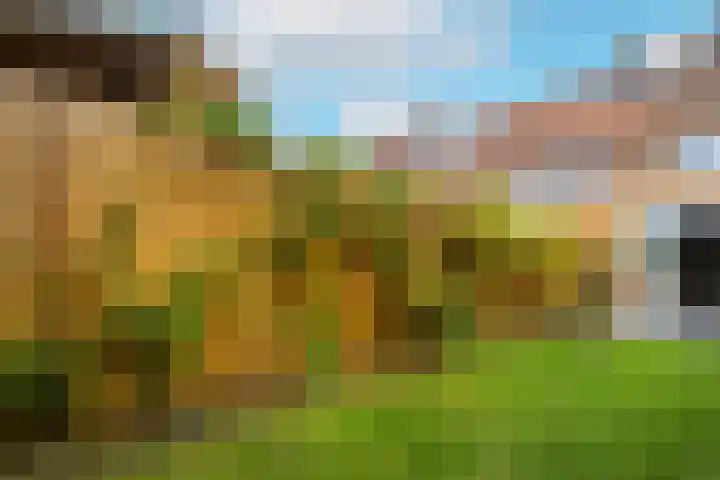 Dieselweg 1 Utrecht thumbnail 22