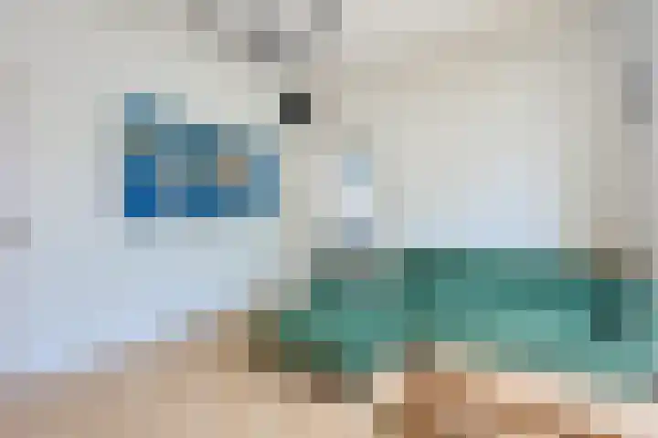 Dieselweg 1 Utrecht thumbnail 5