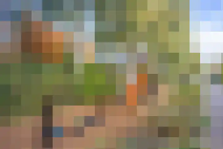 Dieselweg 1 Utrecht thumbnail 51