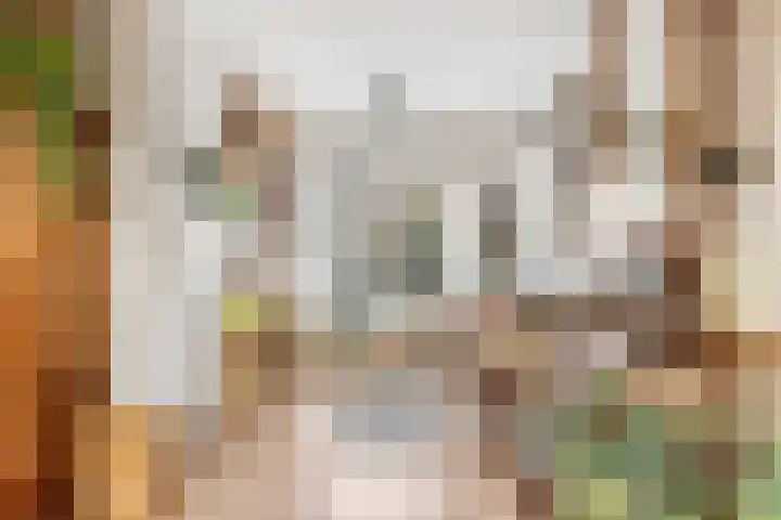 Dieselweg 11 Utrecht thumbnail 10