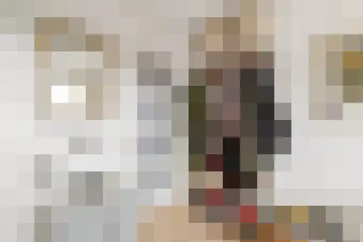 Dieselweg 11 Utrecht thumbnail 20
