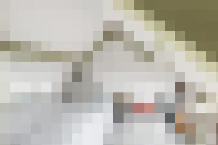 Dieselweg 11 Utrecht thumbnail 24