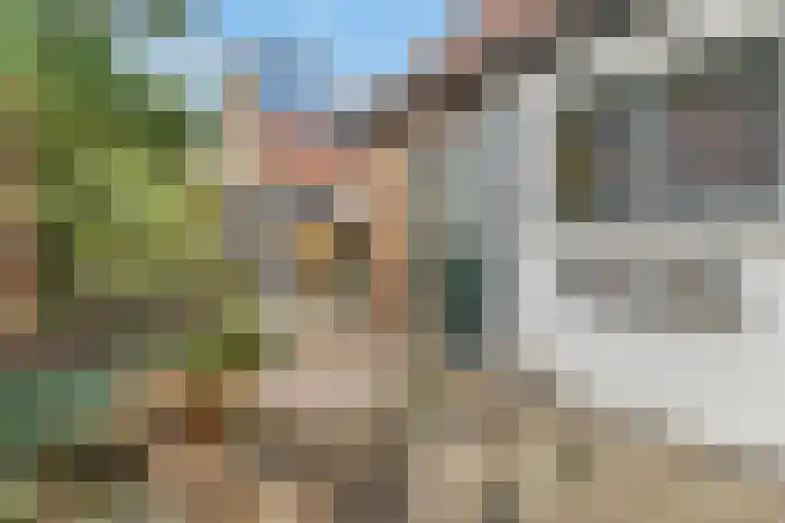 Dieselweg 11 Utrecht thumbnail 25