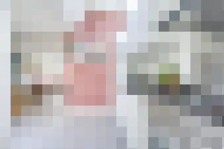 Dieselweg 13 Utrecht thumbnail 15