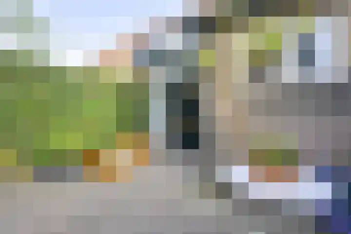 Dieselweg 13 Utrecht thumbnail 20