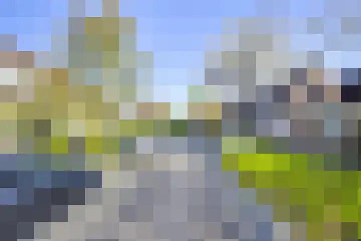Dieselweg 13 Utrecht thumbnail 36