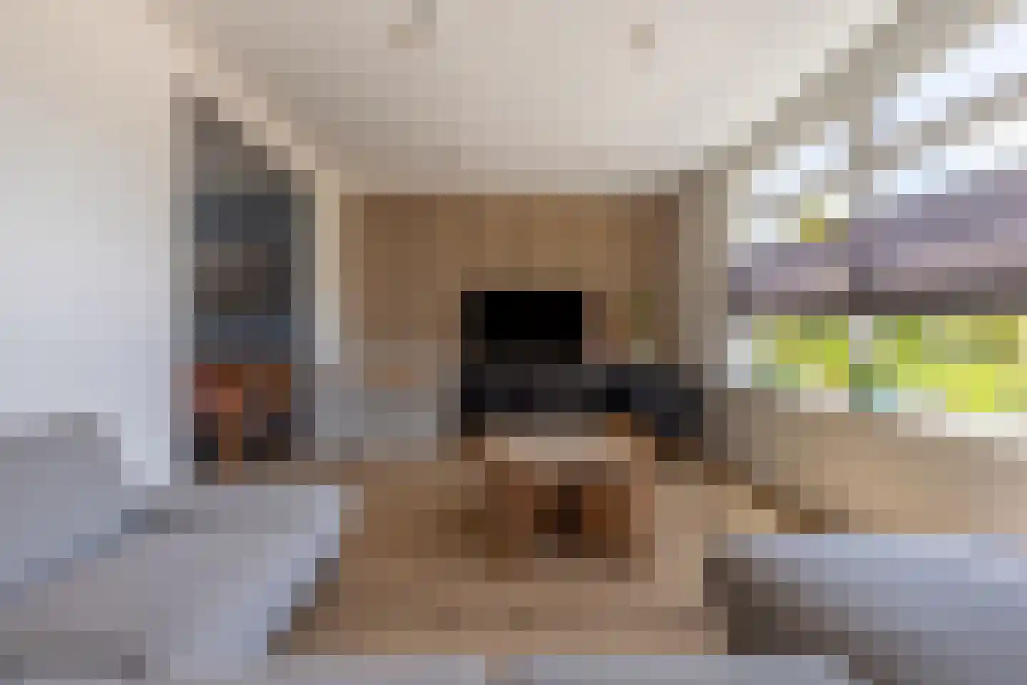 Diessenplasstraat 18 Holten thumbnail 10