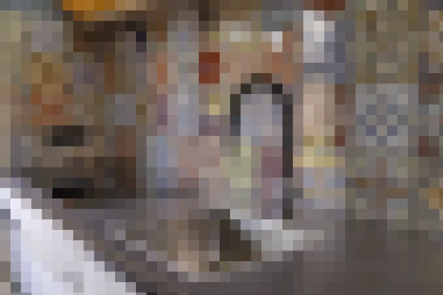 Diessenplasstraat 18 Holten thumbnail 18
