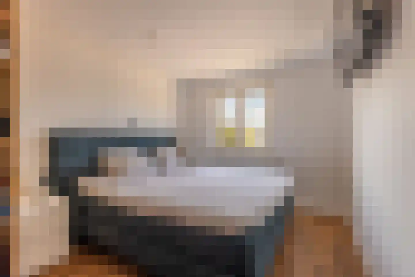 Diessenplasstraat 18 Holten thumbnail 23