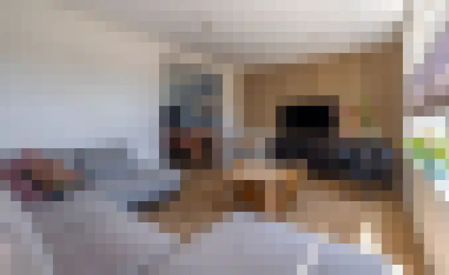 Diessenplasstraat 18 Holten thumbnail 8
