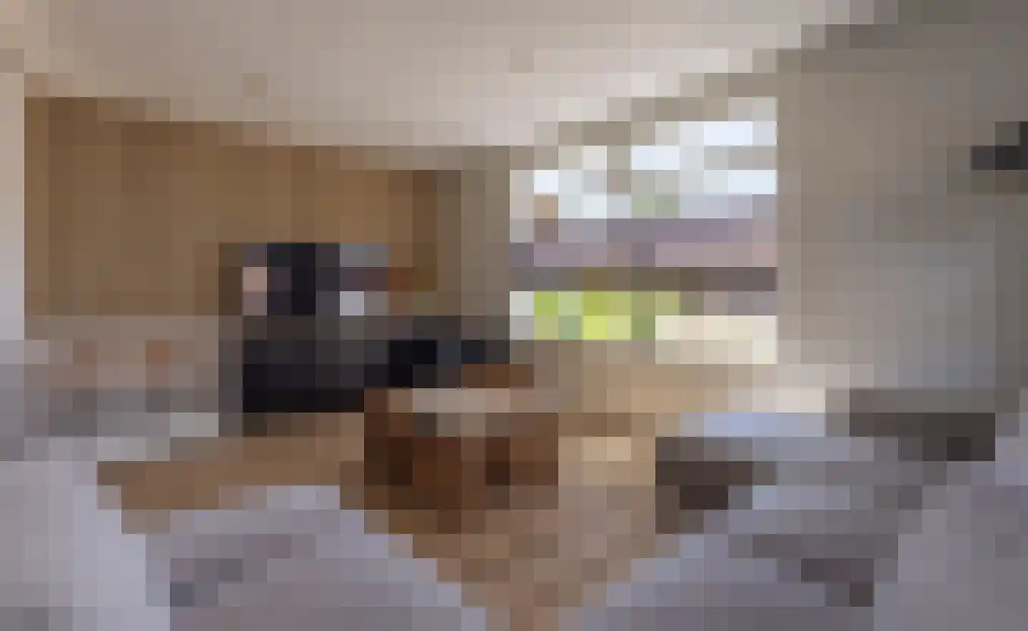 Diessenplasstraat 18 Holten thumbnail 9