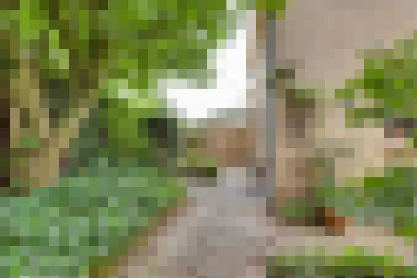 Diessenplasstraat 28 Holten thumbnail 31