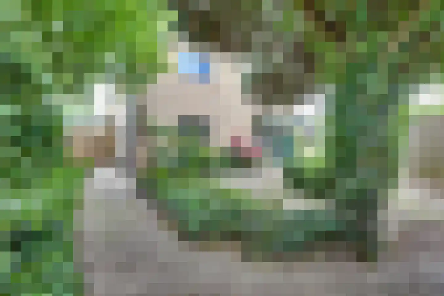 Diessenplasstraat 28 Holten thumbnail 32