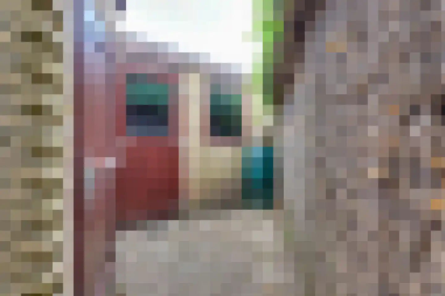 Diessenplasstraat 28 Holten thumbnail 37