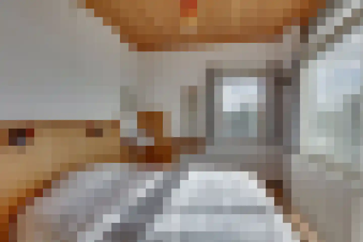 Diessenplasstraat 5 Holten thumbnail 20