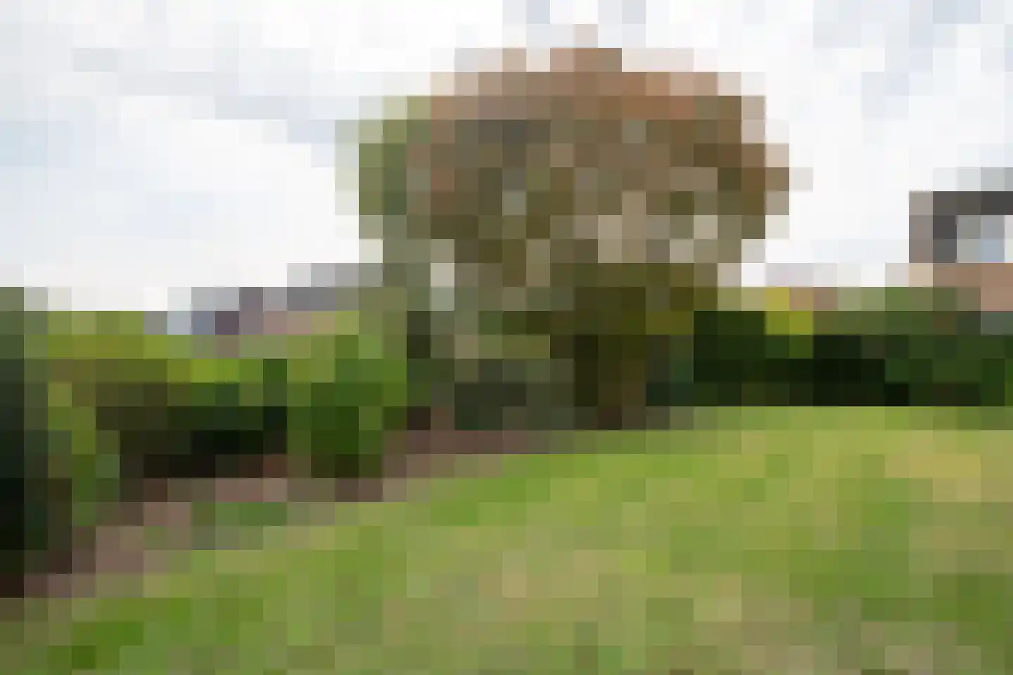 Diessenplasstraat 5 Holten thumbnail 39