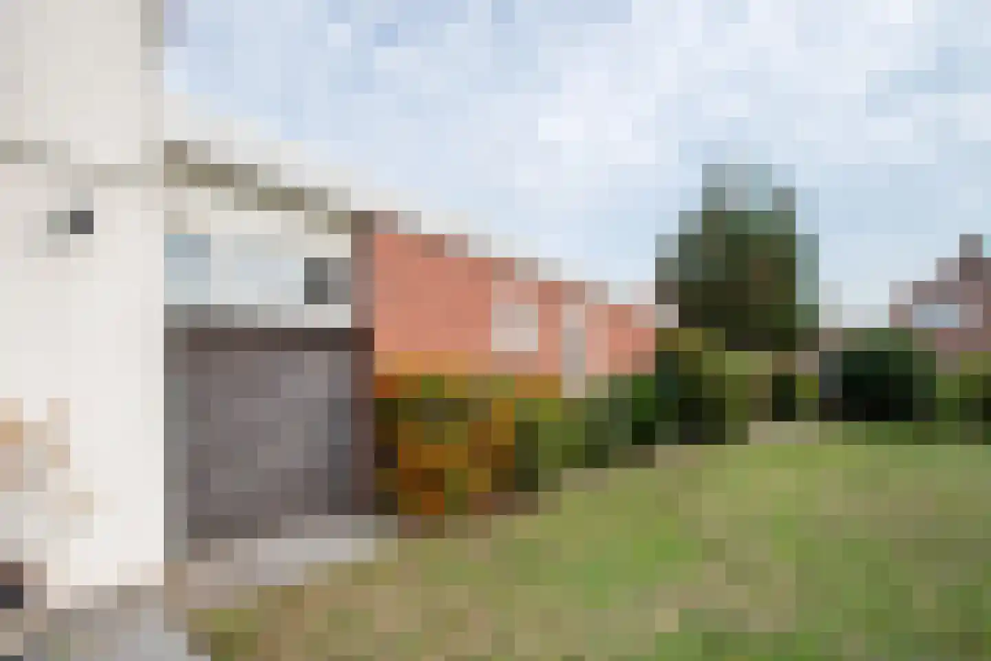 Diessenplasstraat 5 Holten thumbnail 43
