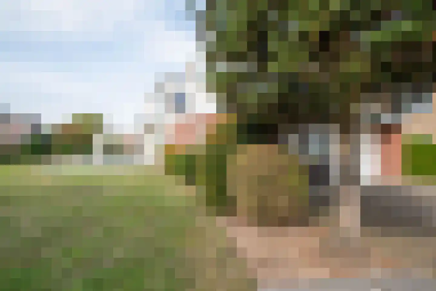 Diessenplasstraat 5 Holten thumbnail 45